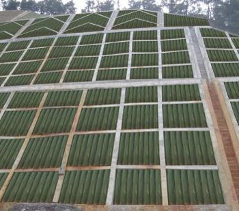 ���B(t��i)��